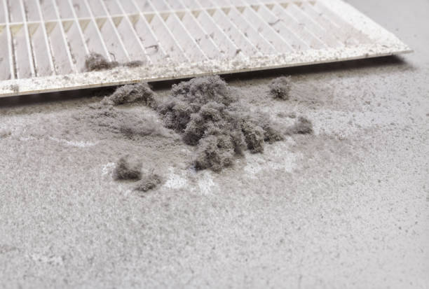 Best Commercial HVAC Duct Cleaning  in Cambria, IL