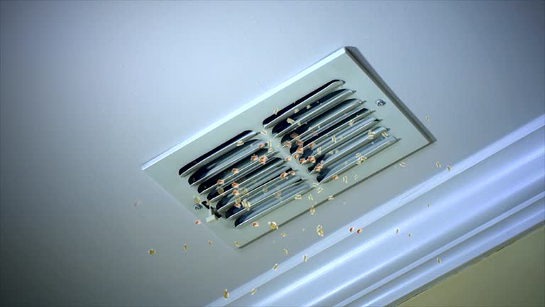 Best HVAC Air Duct Cleaning  in Cambria, IL