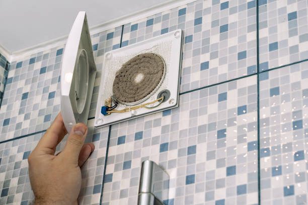 Best Home Air Vent Cleaning  in Cambria, IL