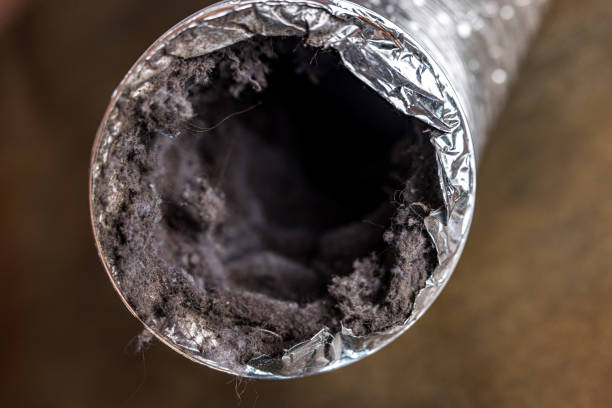 Best Air Vent Cleaning Services  in Cambria, IL