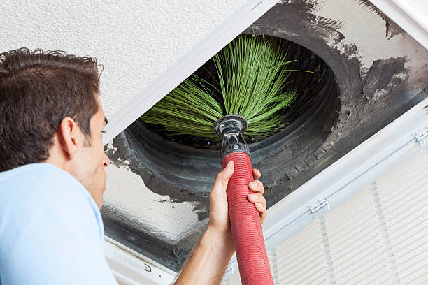 Best Affordable Duct Cleaning Services  in Cambria, IL