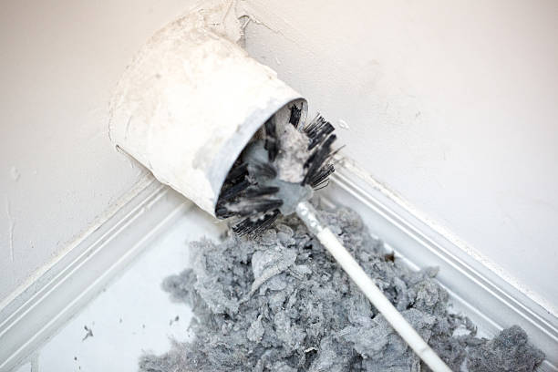 Best Home Air Vent Cleaning  in Cambria, IL